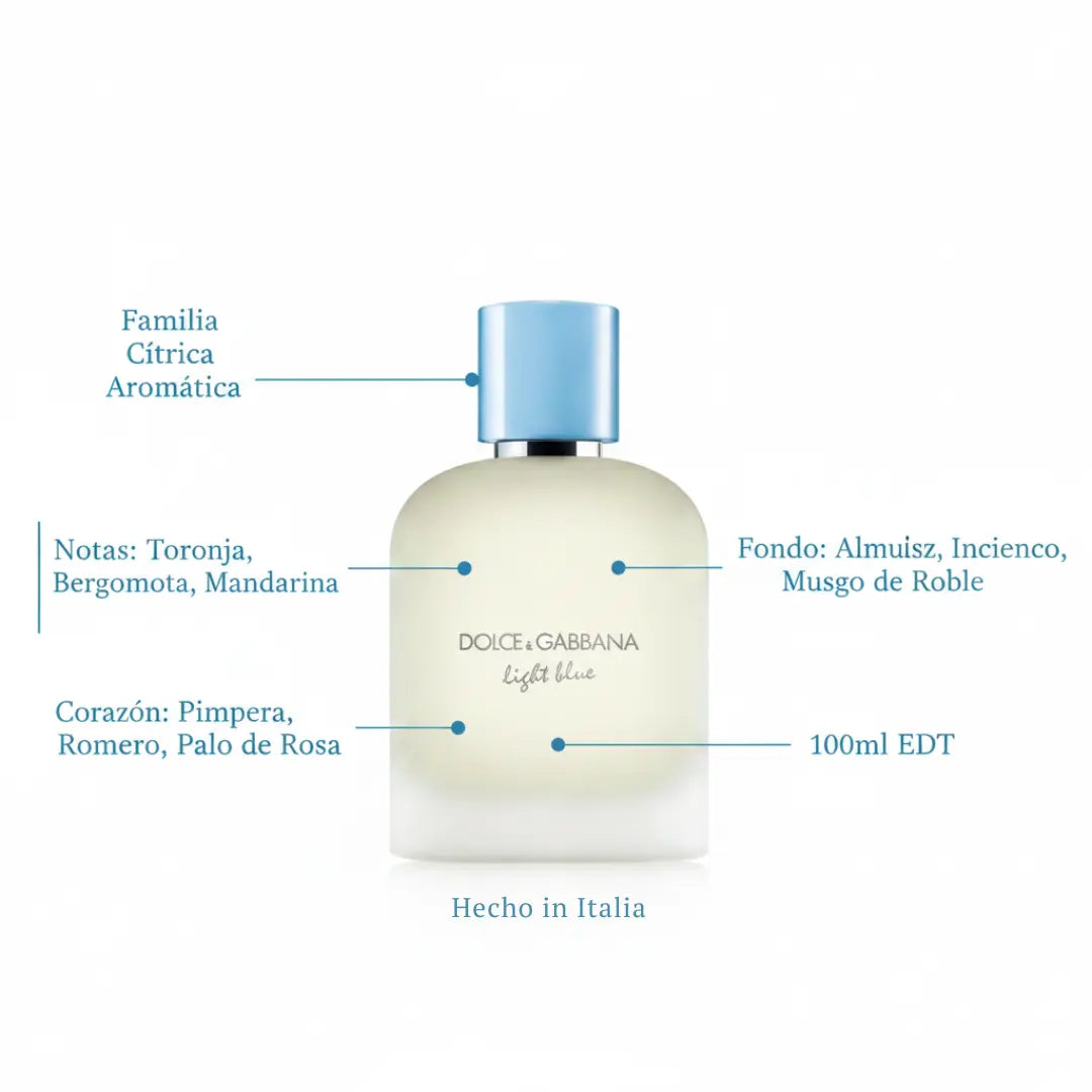 Perfume Masculino Dolce & Gabbana Light Blue Pour Homme EDT 100ml